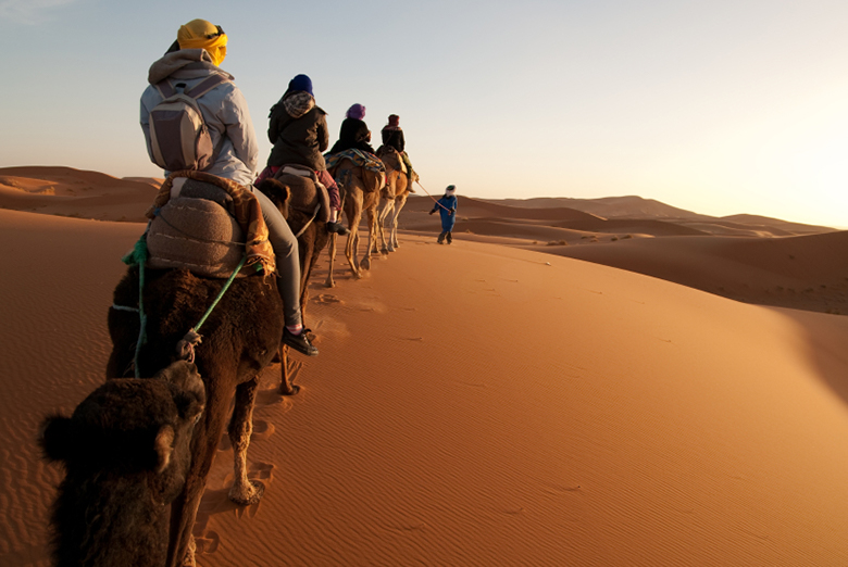 Activite du riad